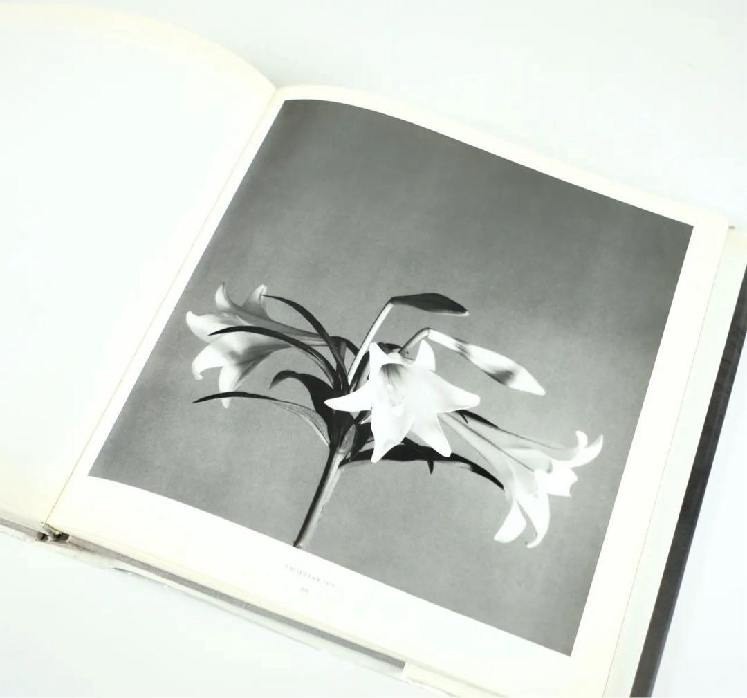ROBERT MAPPLETHORPE 洋書 写真集 RANDOM HOUSE