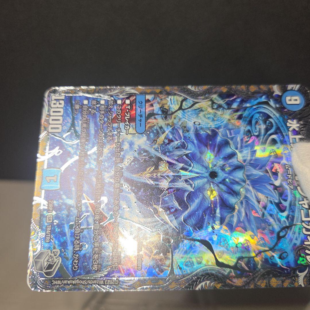 水上第九院シャコガイル 銀 - メルカリ