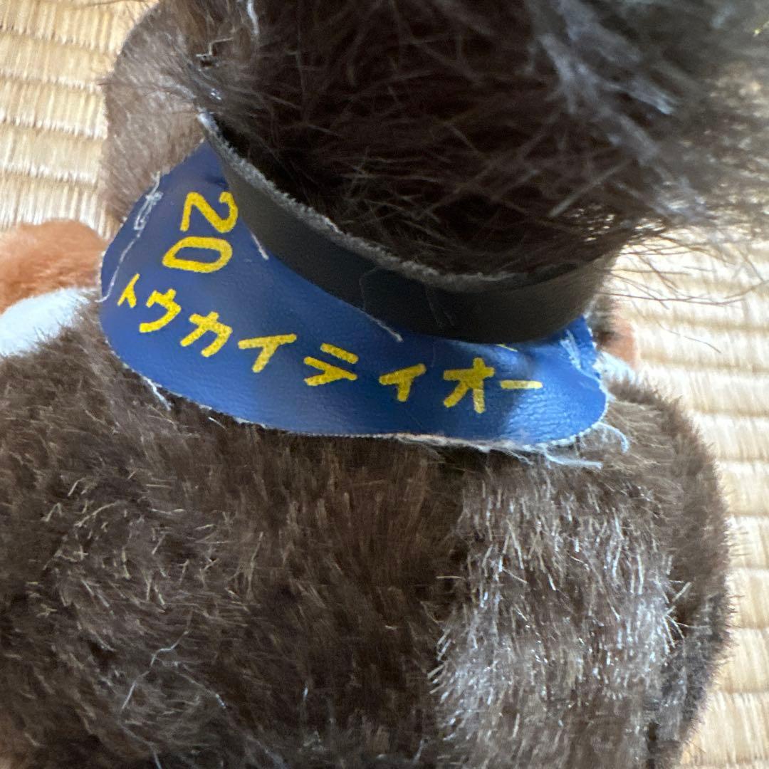 昭和レトロ トウカイテイオー 日本ダービー（AVANTI）競走馬