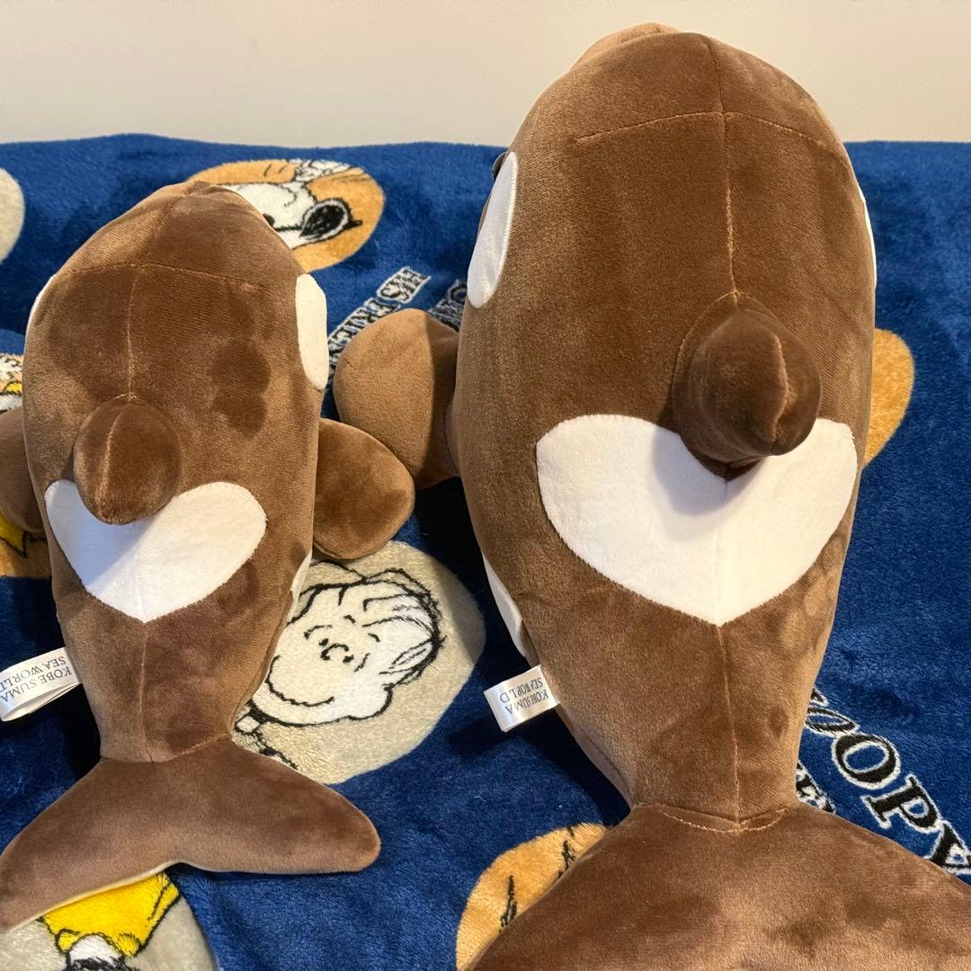 神戸須磨シーワールド シャチ オルカ くじ バレンタイン限定カラー