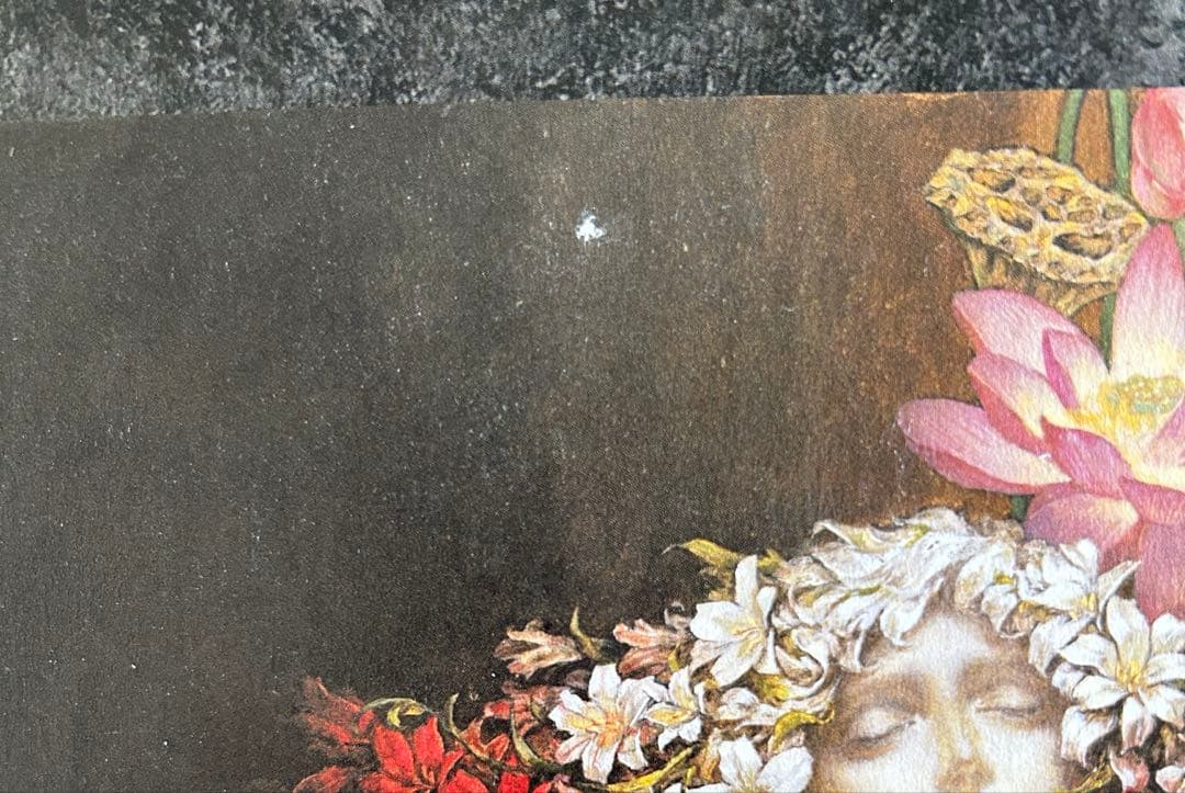 小島文美　画集　Santa Lilio Sangre　〜緋いユリ〜