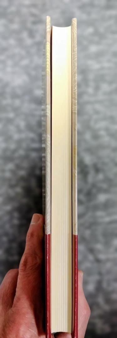 緋の城 木崎さと子著