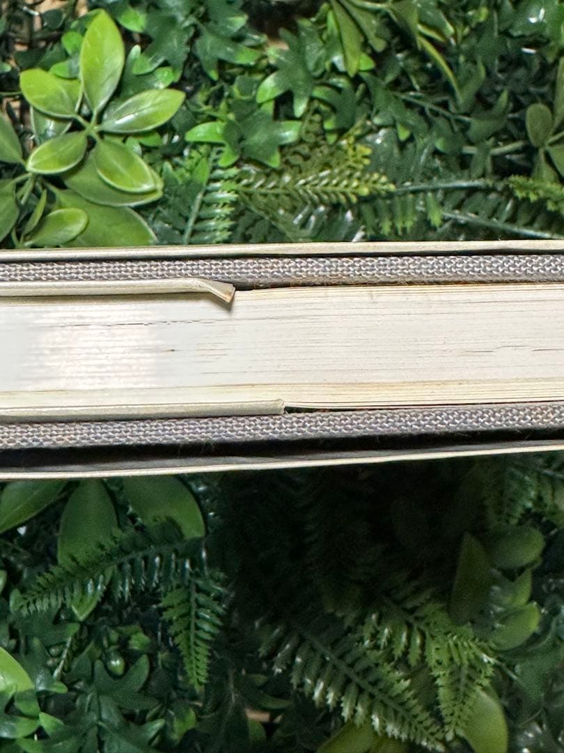 直筆サイン入 限定800部510番 大内田茂士画集 1933-1989 油紙