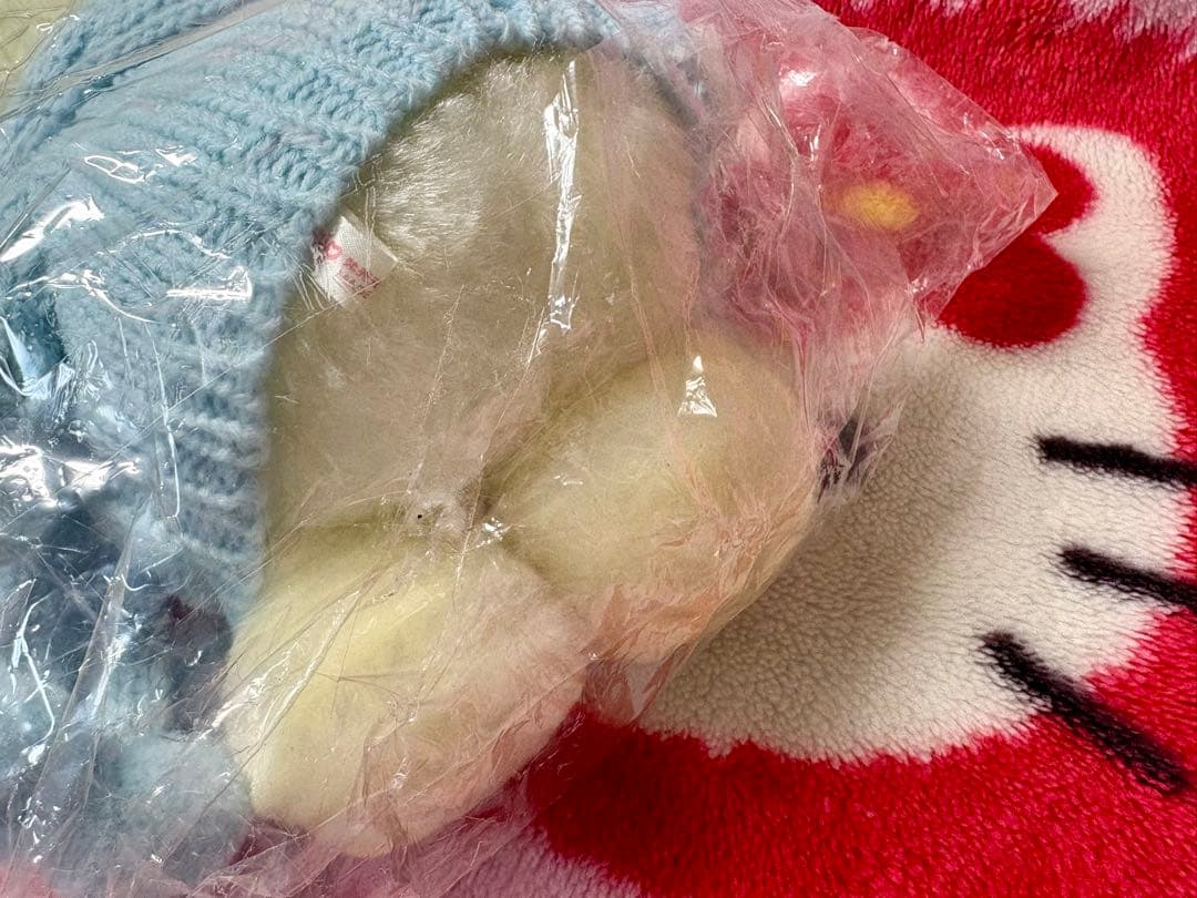 激レア 1999年 キティ ダニエル 生誕25周年 ぬいぐるみバースデー