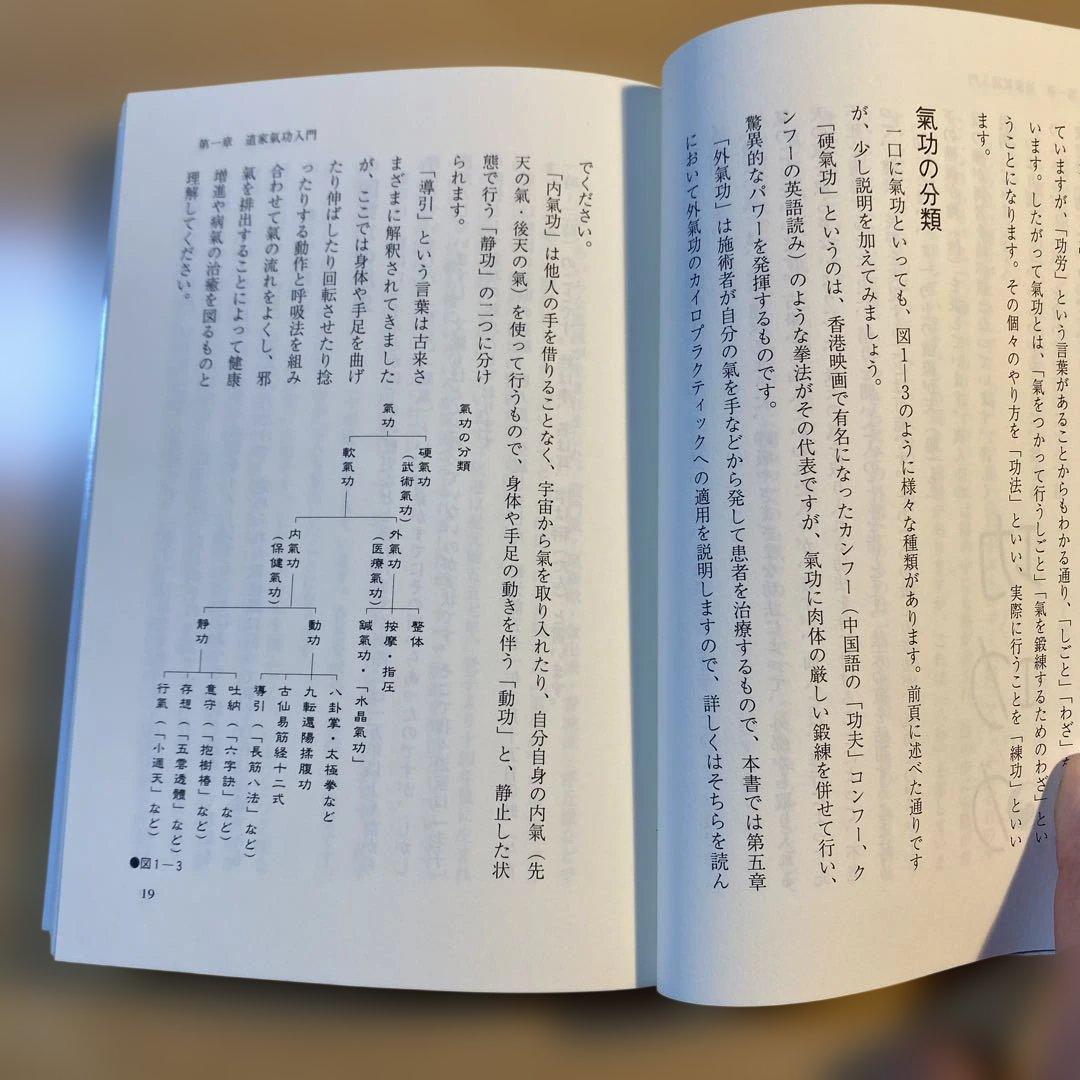 秘伝 道家気功 気功法 劉百齢 林義貢 塩田恵一 気功 医療 東洋思想 本