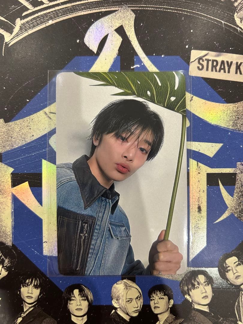 スキズ アイエン 5/11 静岡エコパスタジアム 会場限定トレカ - メルカリ