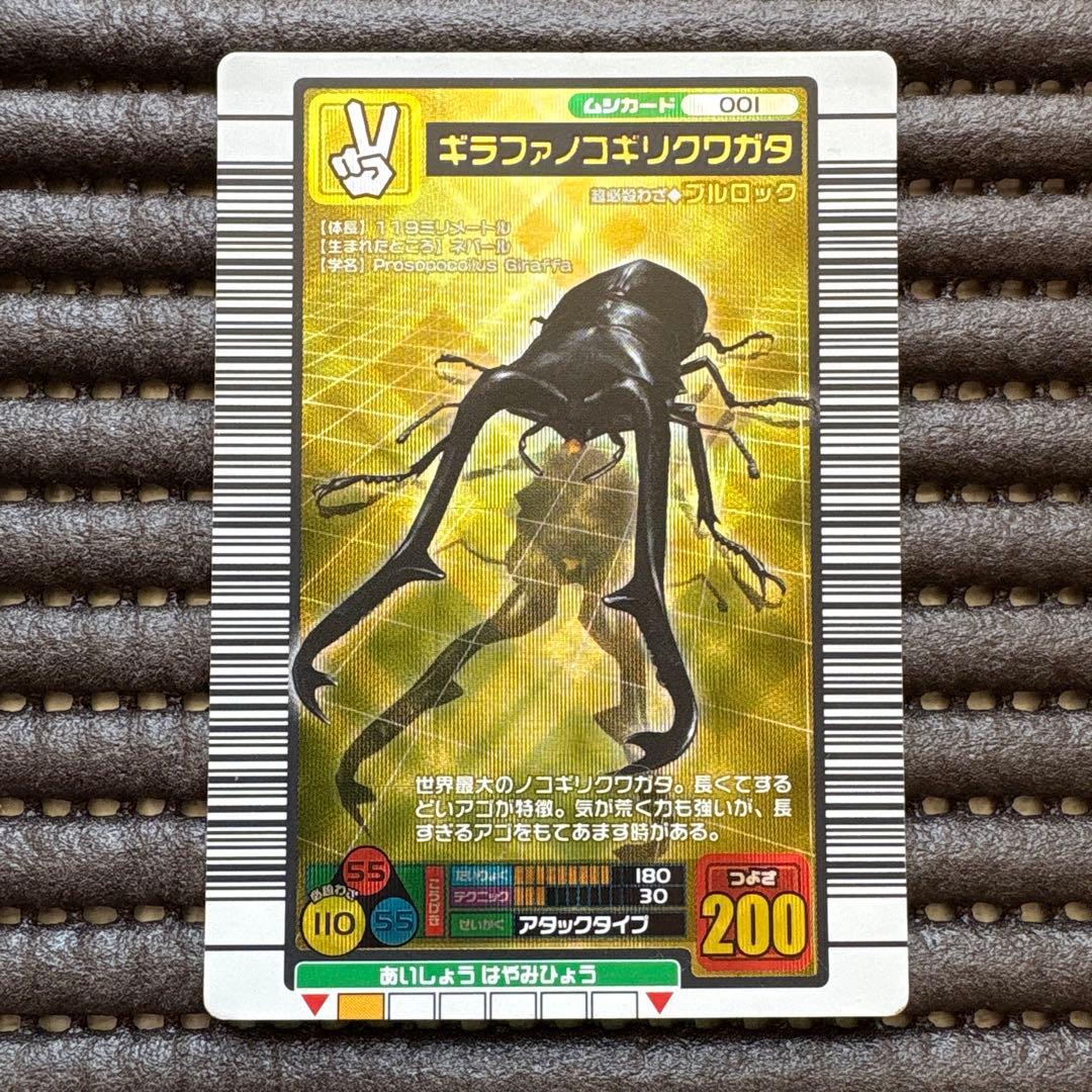 新殿堂CS優勝 白緑ドリームメイト