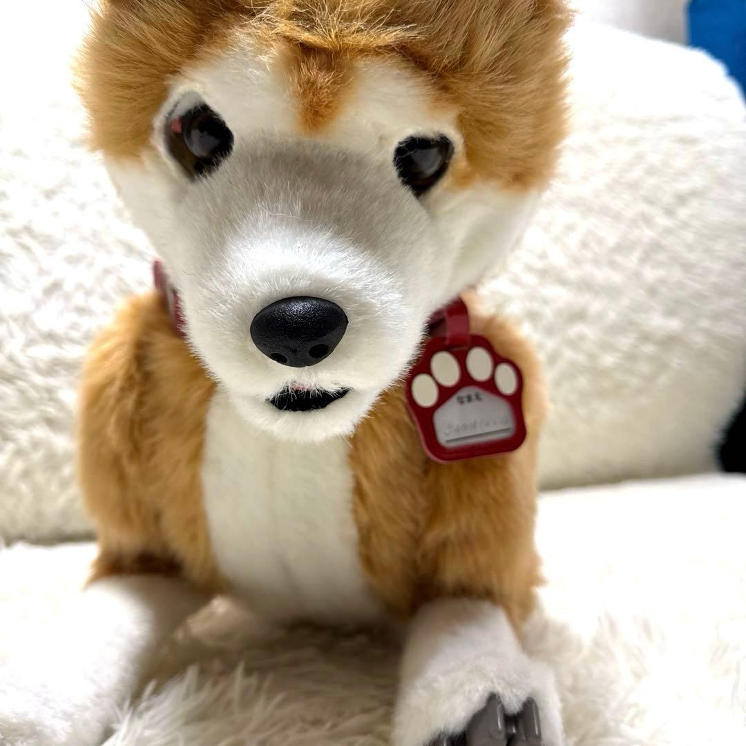 電動ペット ペットロボット ココチモ 愛犬しばちゃん 等身大 柴犬
