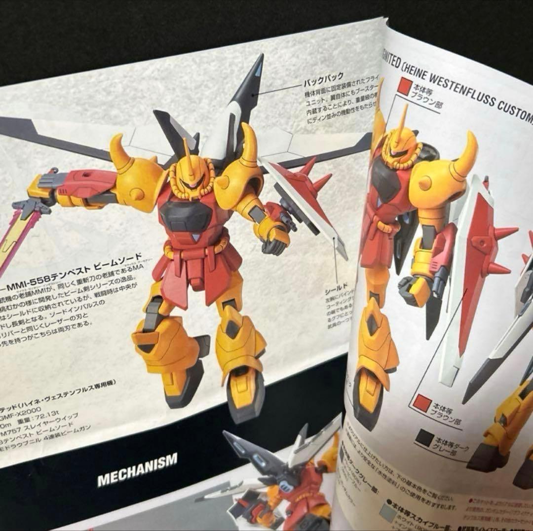 HG グフイグナイテッド ハイネ機 【説明書】 ガンプラ ジャンク品
