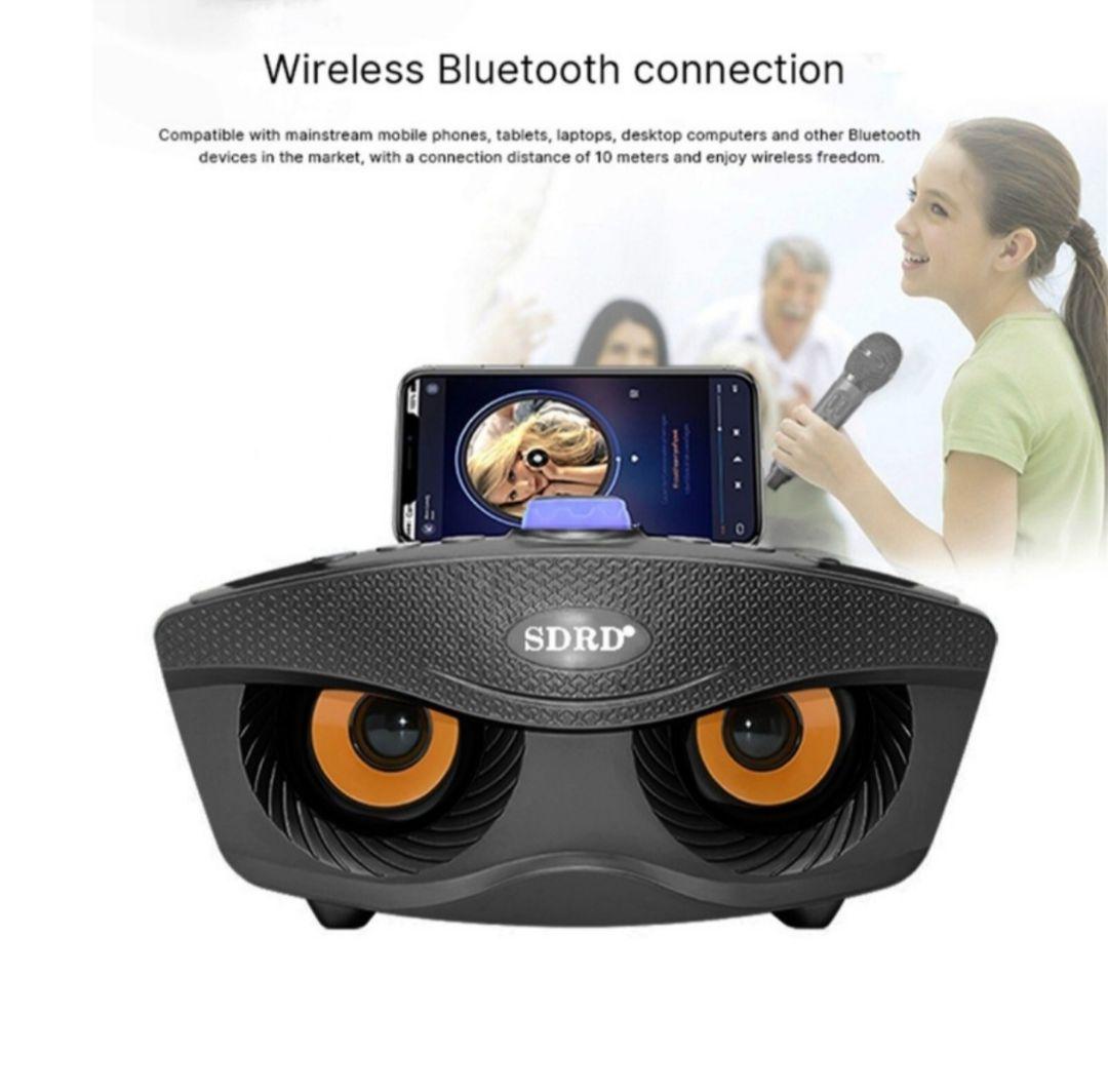 SDRD SD-306 ワイヤレスファミリーカラオケシステム（マイク2本付属