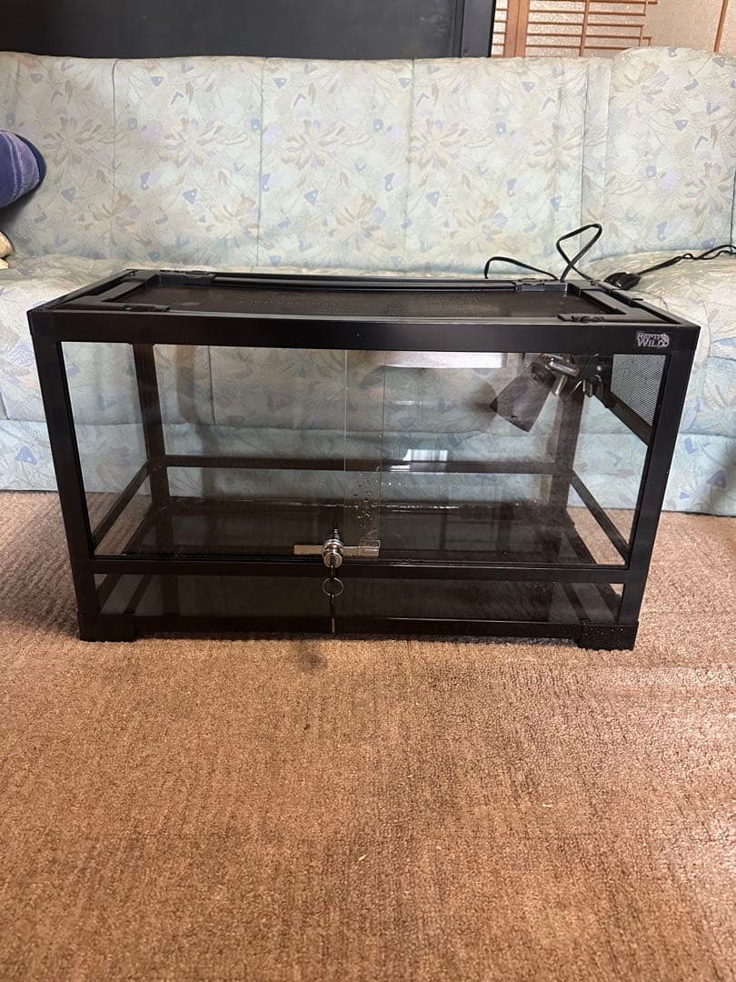 パンテオン 6035 ライト ソケット 2個付き 爬虫類 小動物 ケージに最適 SANKO】三晃商会WEBページ