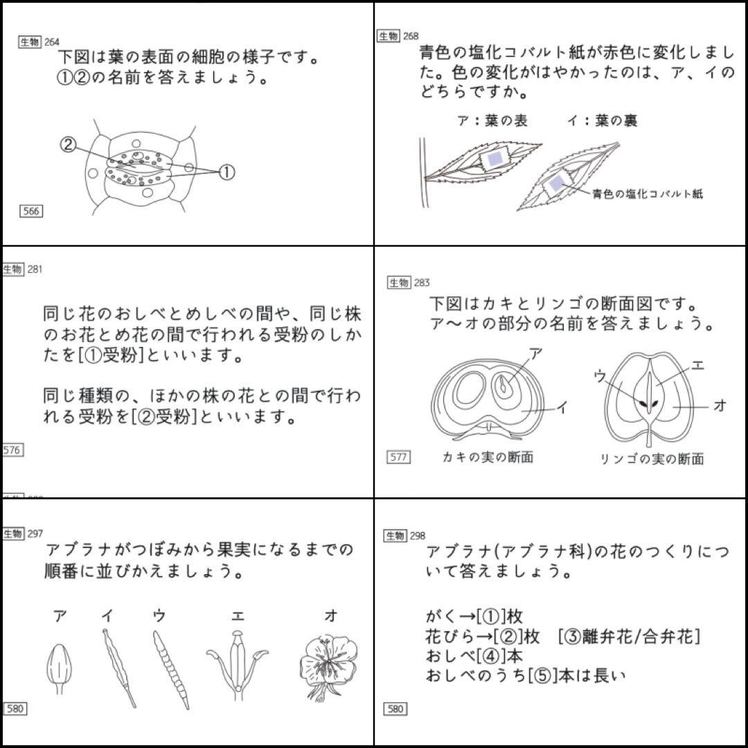中学受験 暗記カード 理科 生物 サピックス 予習シリーズ コアプラス