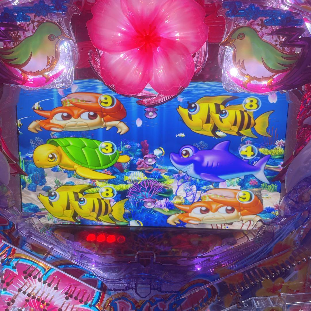 極美品】スーパー海物語 パチンコ実機 沖縄5 夜桜超旋風319 - メルカリ