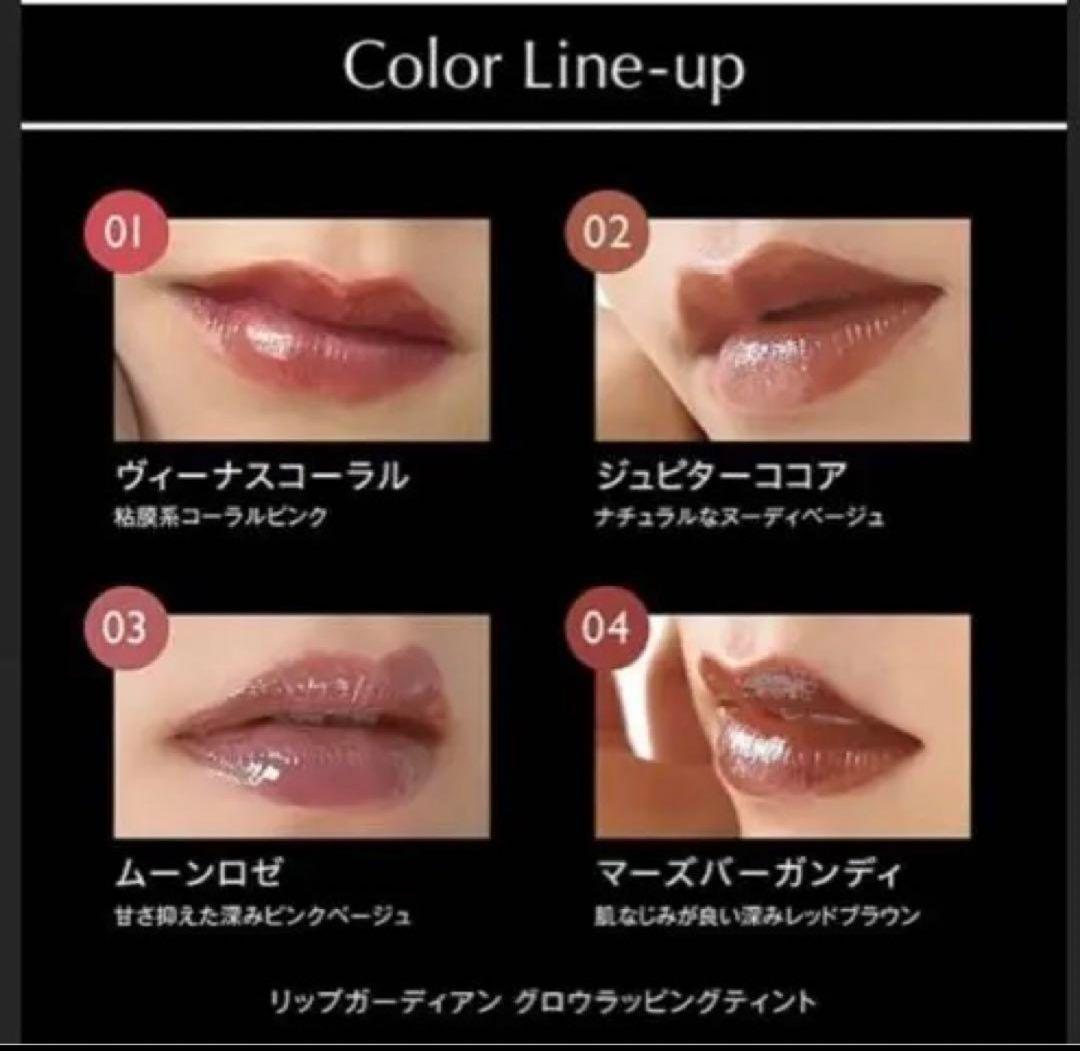 LIPGUARDIAN リップグロス 色番04 - メルカリ