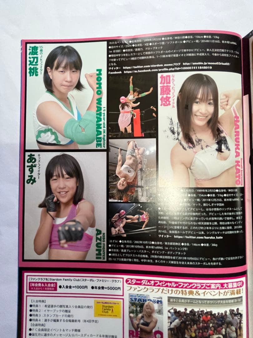 スターダム観戦ガイドブック 紫雷イオ、岩谷麻優、サンダーロック