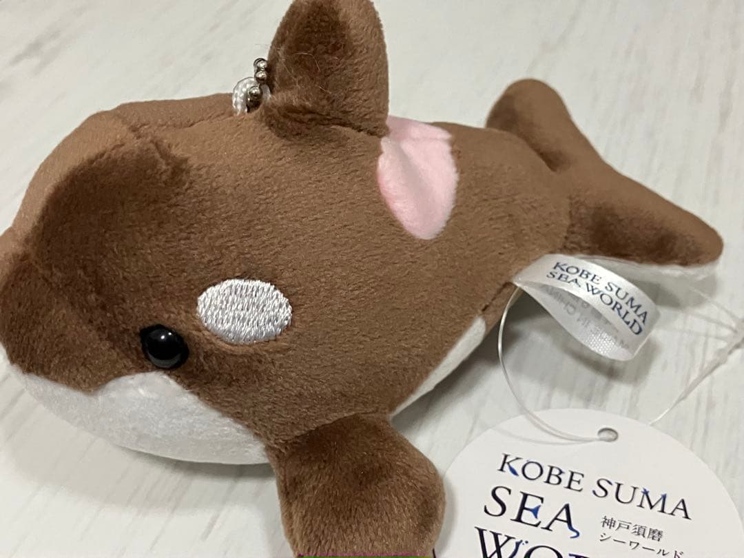 須磨シーワールド　シャチ　ショコラデュオ　キーホルダー　限定　ストロベリーチョコ バレンタインのオルカくじは まさかの新色2種登場！？ ＼ 明日2026年1