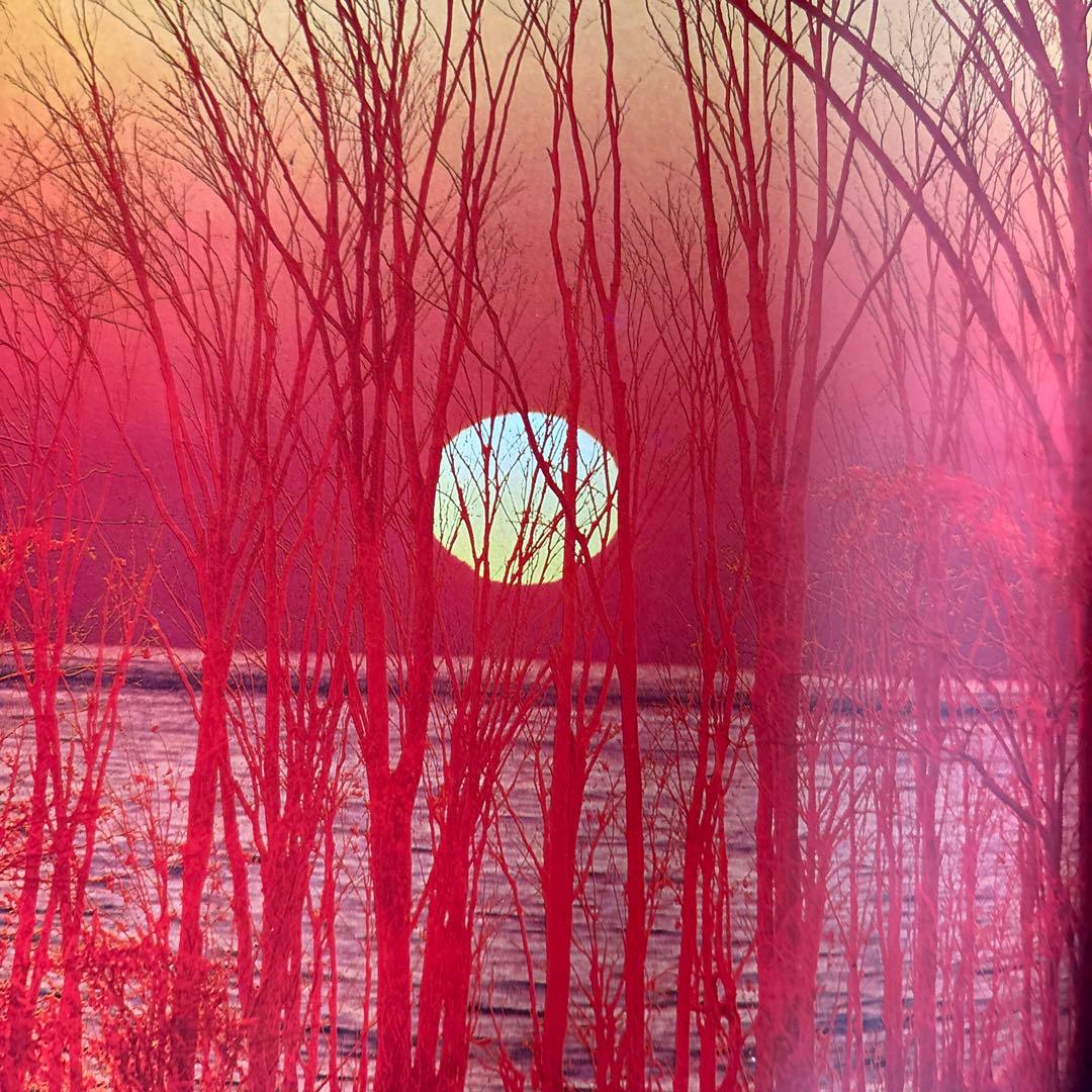 朝日新聞社発行、写真家たちの作品集1巻から14巻（12巻が抜け有）全部で13冊。