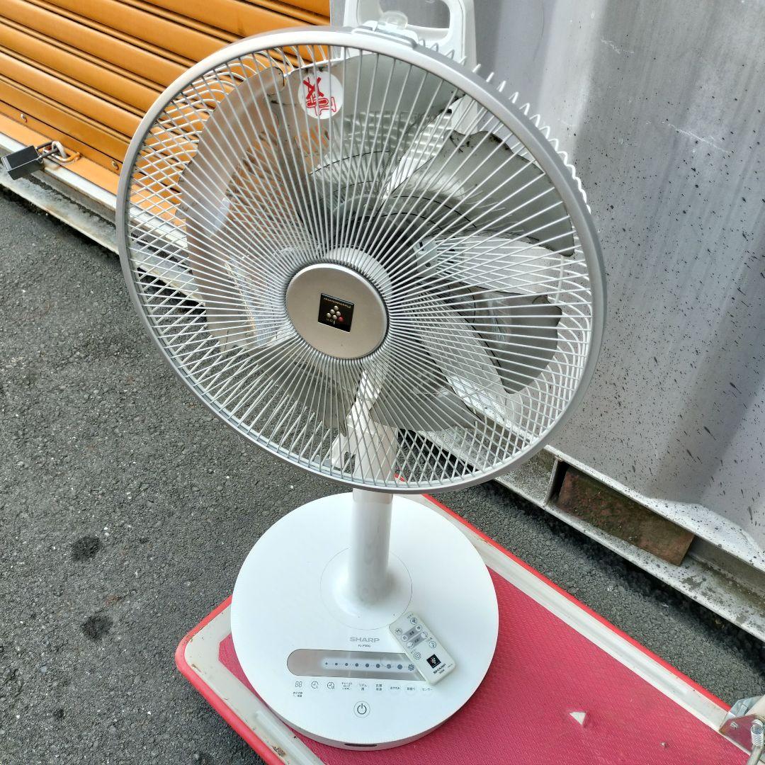 2022年製 SHARP ハイポジション リビングファン PJ-P3DG-W Amazon | シャープ 扇風機 リビングファン DCタイプ 衣類乾燥 衣類消臭