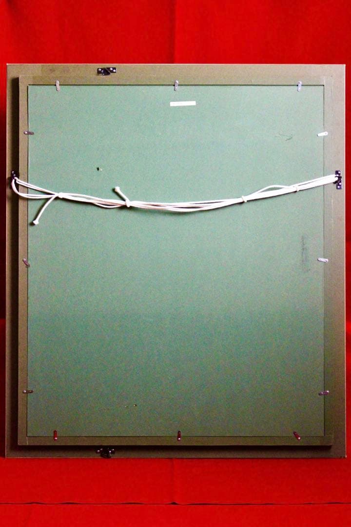 花乙女コレクション【藤岡心象　陽の中で】購入金額より60％お値引き！！