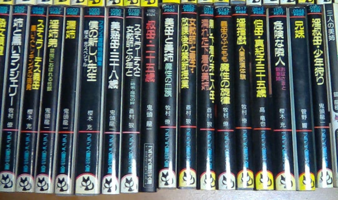 官能小説まとめ売り　計８５冊