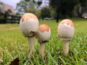 希少品 1978年 住宅地図 福岡地典 福岡市南区 昭和53年版 片岡技研発行