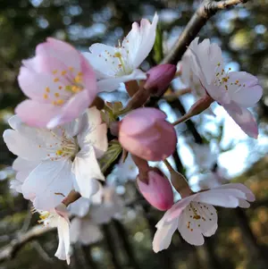 みんさん専用☆新品未使用☆ボディアーキ ナイトスパッツ M スパッツ