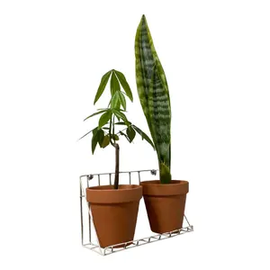 Sansui AU-555 プリメインアンプ 1968年(昭和43年頃発売) - メルカリ