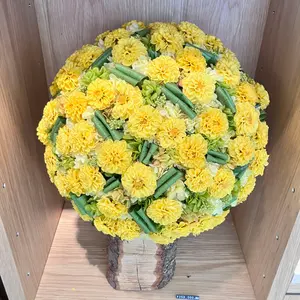 匿名配送✨まとめ売り】鉄緑会 高2 前期化学 問題集 授業プリント 旧帝