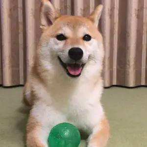 戦場にかける橋 泰緬鉄道の栄光と悲劇 クリフォード・キンビグ - メルカリ