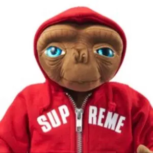 brook - 2025aw Duck Brook Logo Sweat - メルカリ