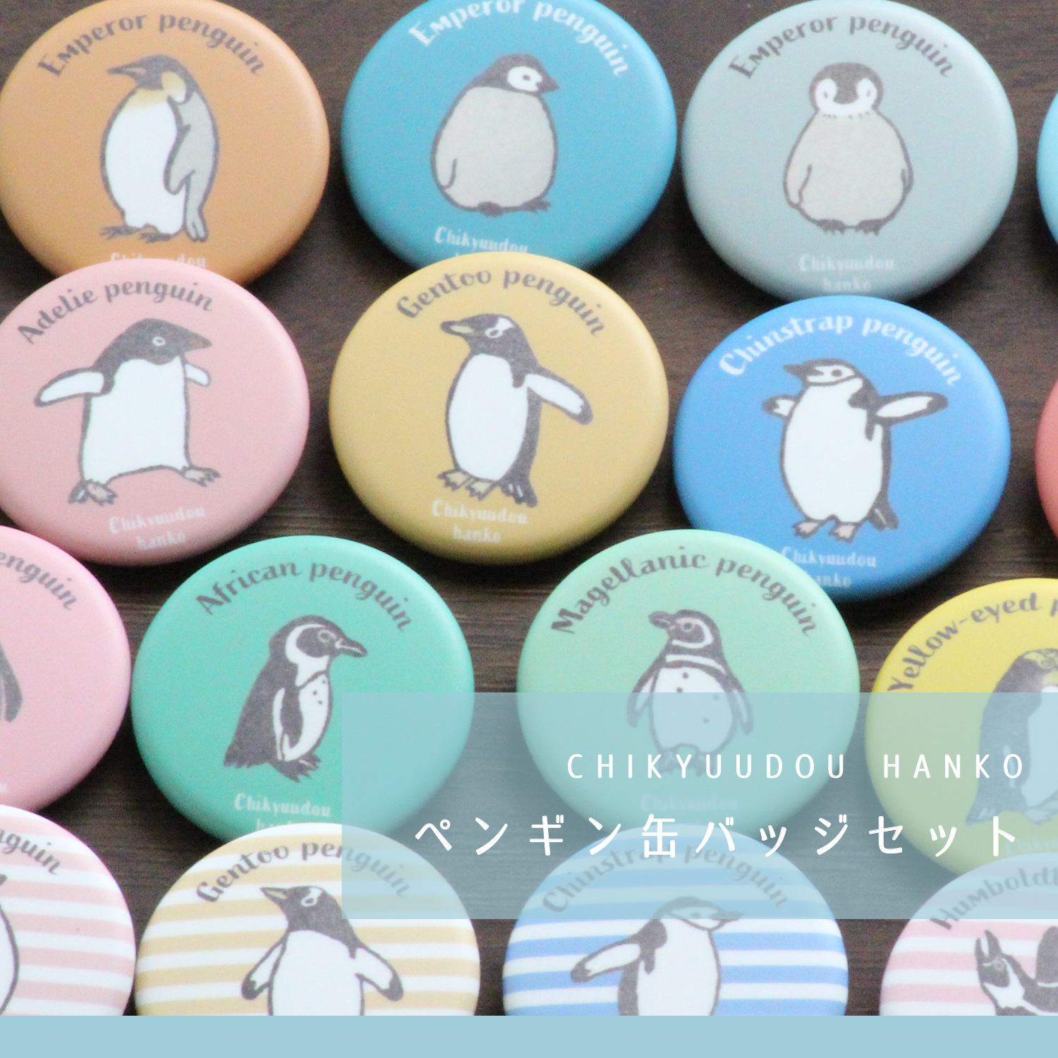 ペンギン缶バッジセット - Chikyuudou hanko'S GALLERY | minne byGMO