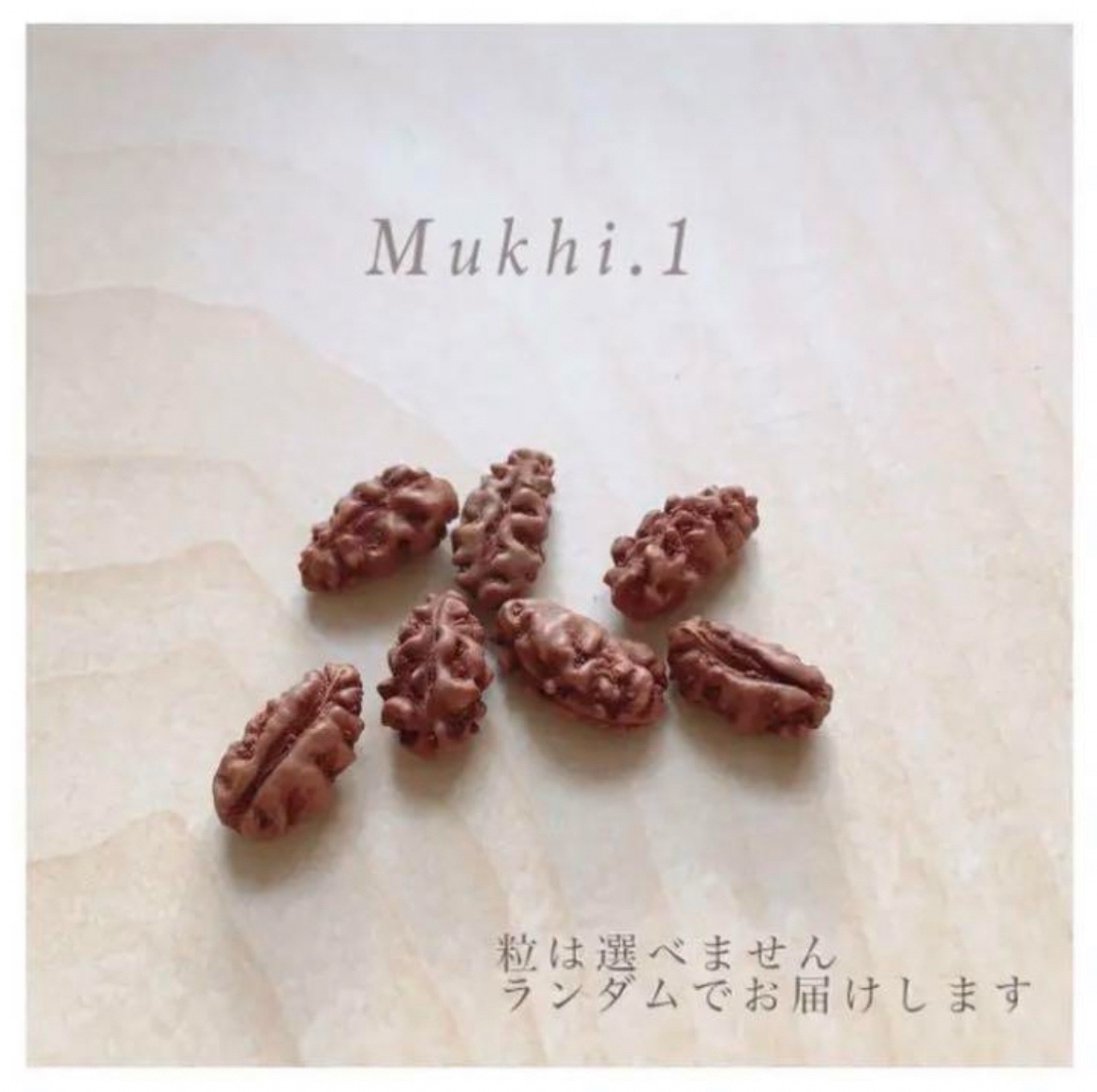 レアビーズ・ガウリー/ガネーシャ/1〜14面 シッダマーラー