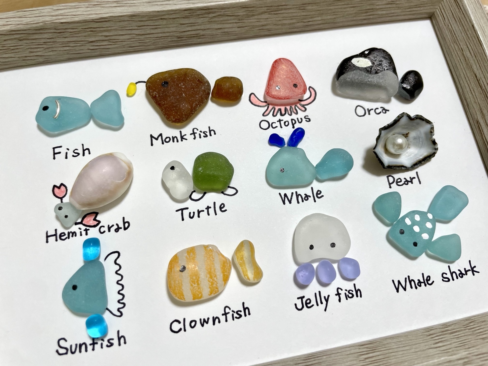 ☆シーグラスアート☆ No.8☆『図鑑シリーズ。海の生き物達』1