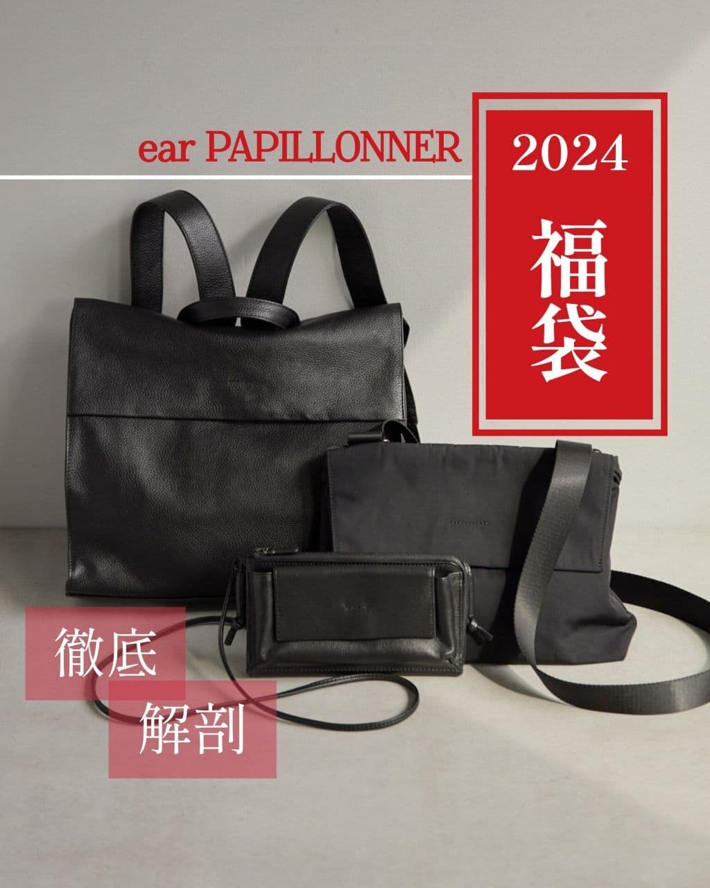 2024 福袋！！【ear PAPILLONNER】 - ear PAPILLONNER(イアパピヨネ