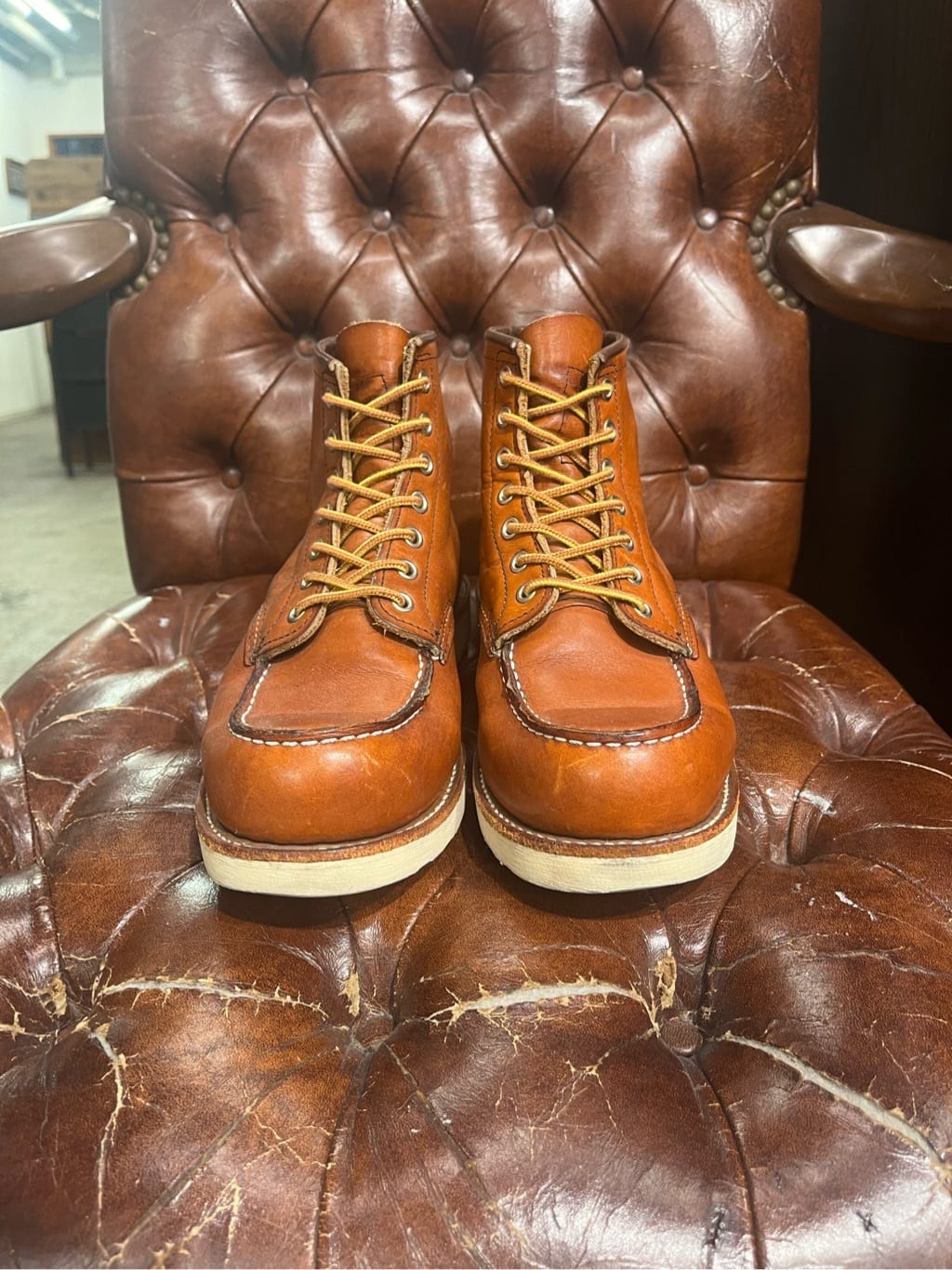 RED WING(レッドウィング)】#875、アイリッシュセッターの経年変化をお