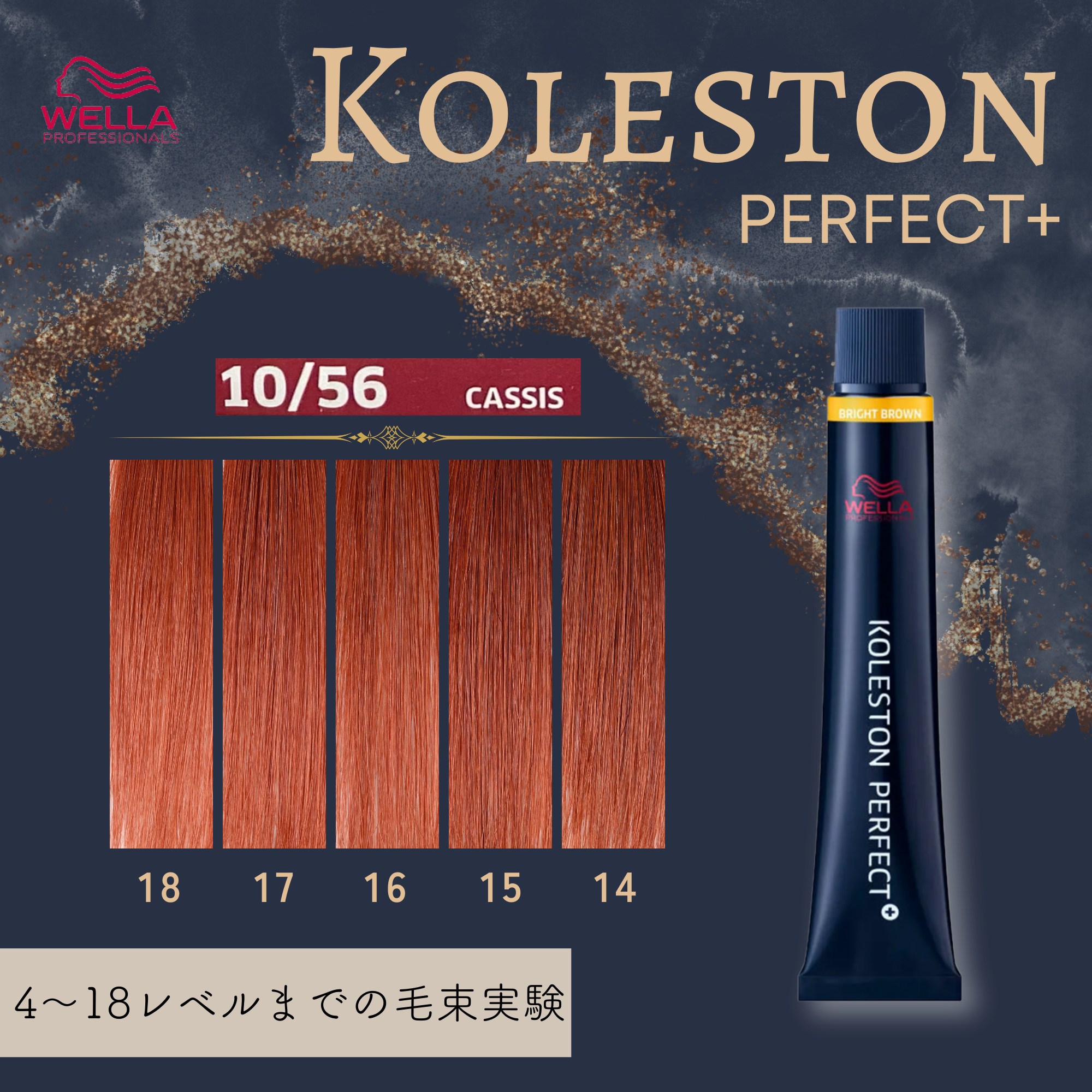 コレストンパーフェクトプラス 8/56 (カシス) 80g 《ファッション