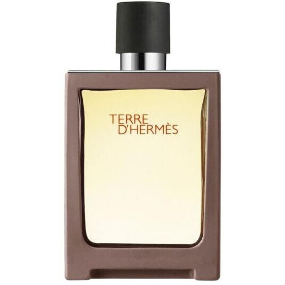 Hermès Terre D'Hermès Eau de Toilette - SweetCare South Africa