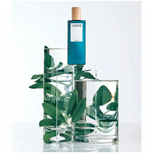 Loewe 7 Cobalt Eau de Parfum for Men - SweetCare United States