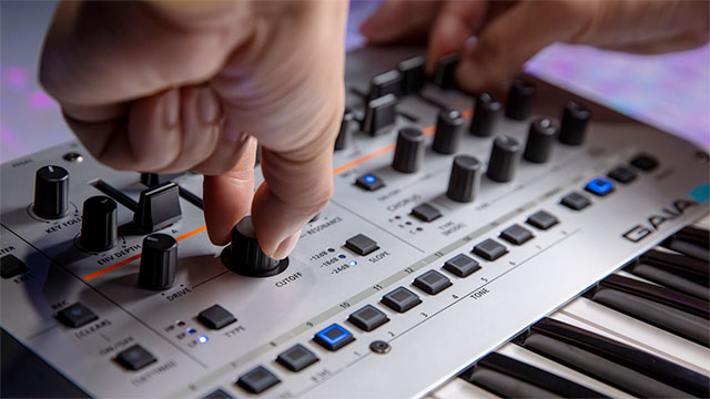 T*I様 【廃盤・美品】ROLAND GAIA SH-01 ハードケース スタン Roland