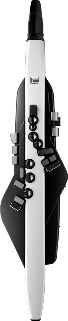 Roland - Aerophone AE-20 | Digital Wind Instrument