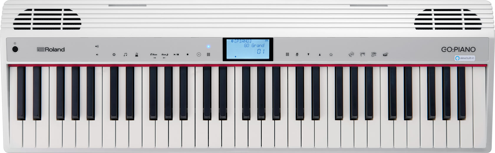 Roland GO-61P キーボード DP-2ペダルスイッチ付き Roland GO-61P