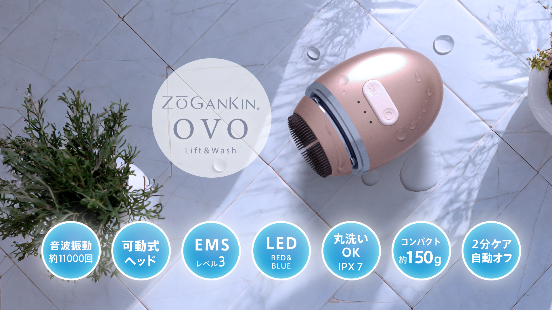 ZOGANKIN OVO （ゾーガンキン オーヴォ） | ZOGANKIN