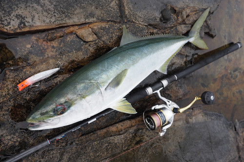 Empinado91S+Rev2｜エンピナード（Empinado91S｜108S） | TRANSCENDENCE