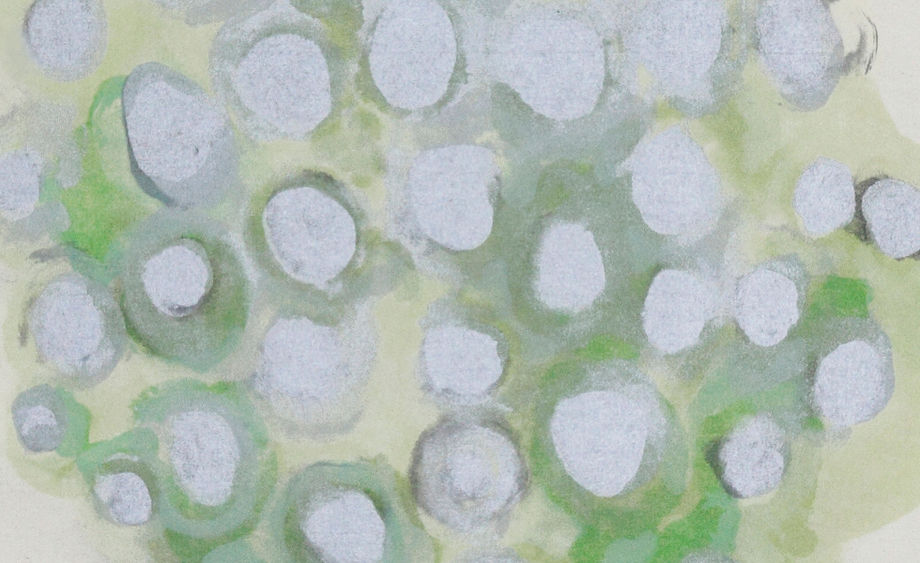 Home | wadatokiwawebsite