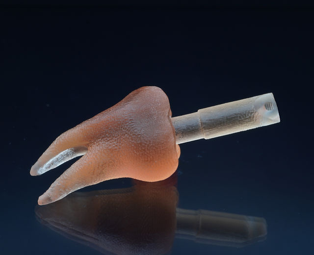 移植歯牙レプリカ | コアデンタルラボ横浜 | 特設サイト | 歯科技工 | 横浜