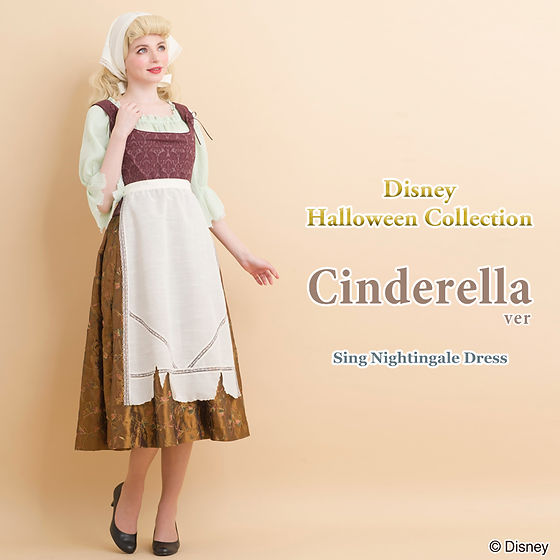 Secret Honey Cinderella Sing Nightingale Halloween dress untagged