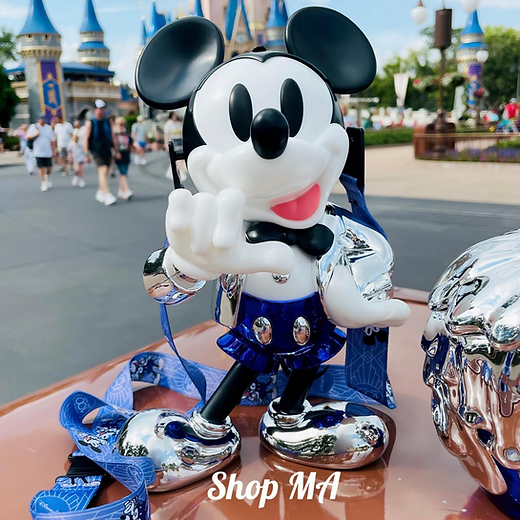 Disney100 | Shop MA
