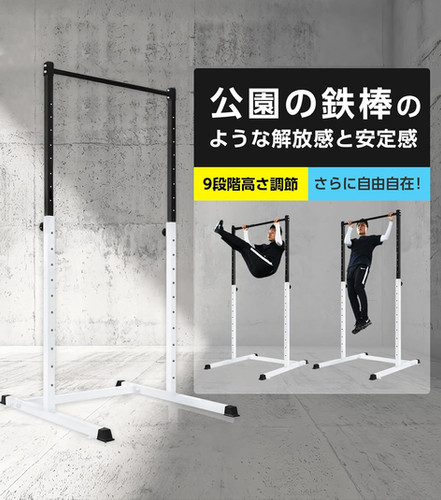 ぶら下がり健康器 BS312-X | wasai