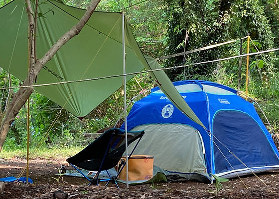 森キャンプ・安心野営 | izucamp.info