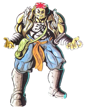 Samurai Goroh | F-Zero Wiki | Fandom